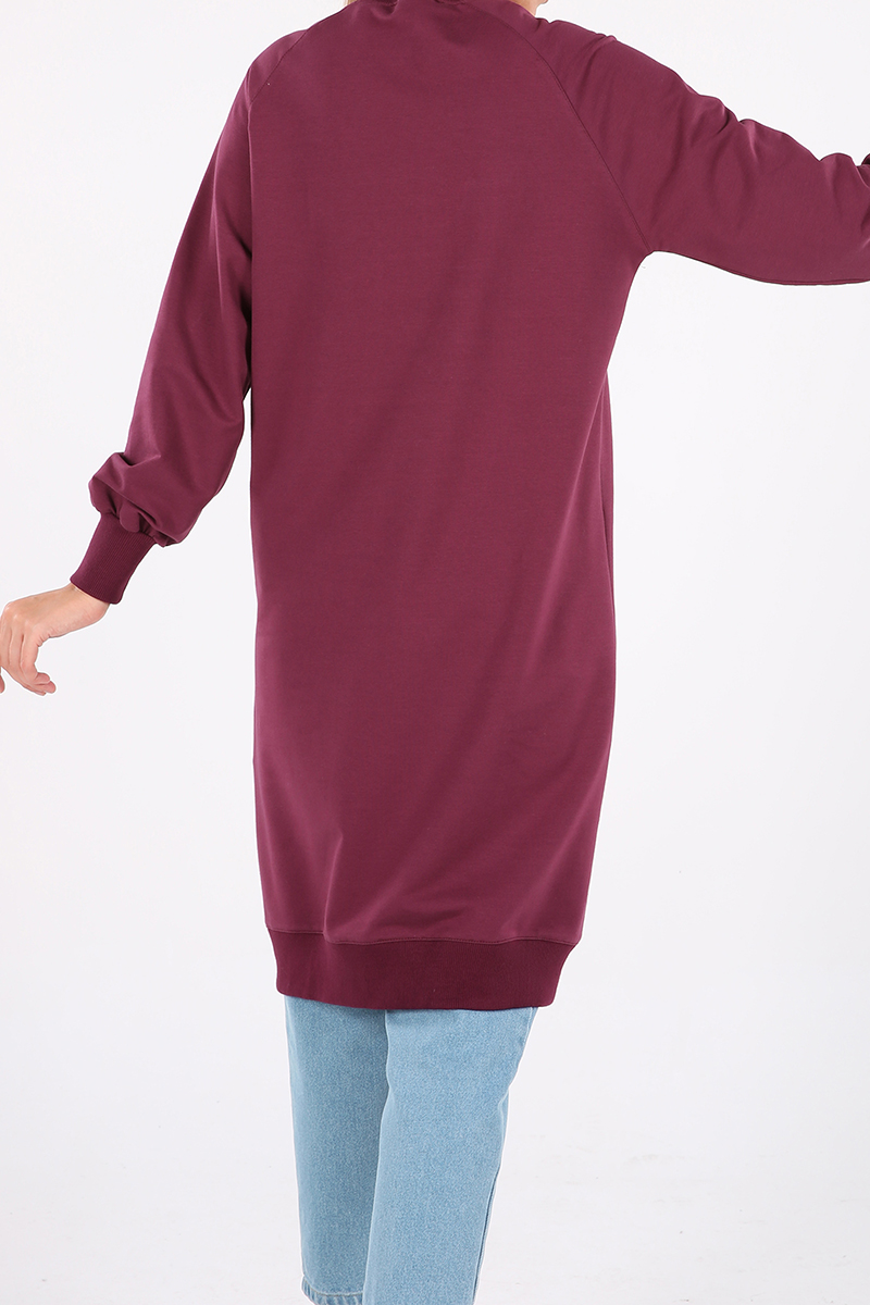 Raglan Sleeve Embroidered Sweatshirt Tunic