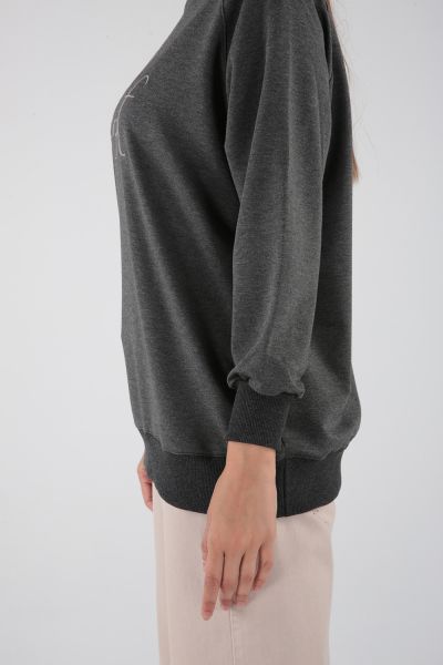 Raglan Sleeve Embroidered Sweatshirt